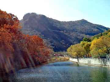 澳门天天免费精准大全，田园风情生态鱼缸